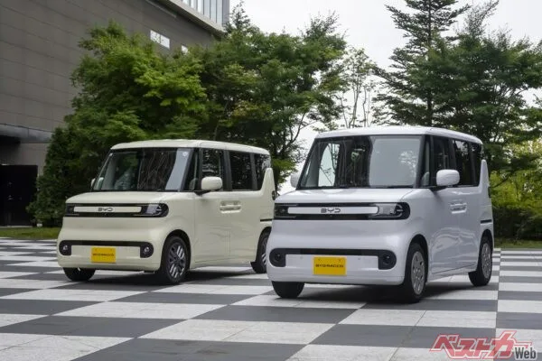 BYDラッコ、発売8日で741台受注の快挙！最上級グレードが70％を占める理由