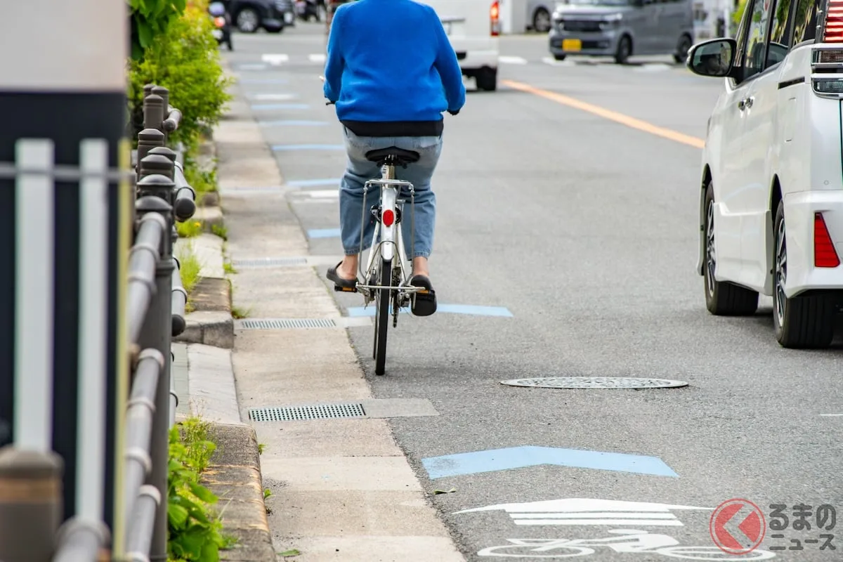 黄色線はみ出し禁止なのに自転車に1m空けろ？警視庁が本気の道路点検開始