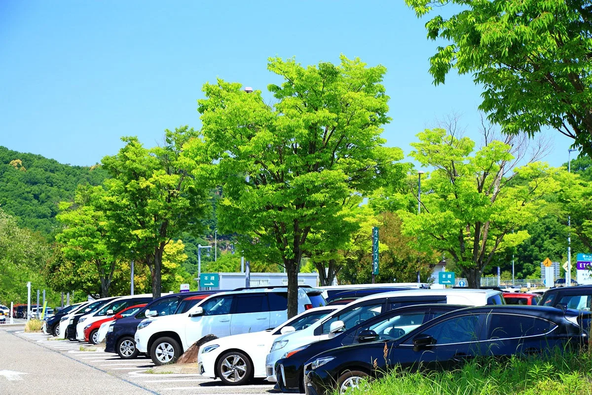 “無料特等席”に終止符、NEXCO中日本が鞍ヶ池PAを花火大会当日に一部閉鎖